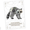 Postkarte Krafttier Waschbär "Fertigkeiten & Geschick"