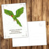 Postkarte Krafttier Papagei "Bedürfnisse & Worte" – Bild 2