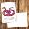 Postkarte Krafttier Schlange „Veränderung“ – Bild 2