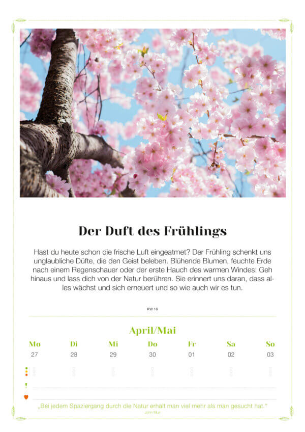JETZT VORBESTELLEN: Auszeit Wandkalender 2026 – Bild 3
