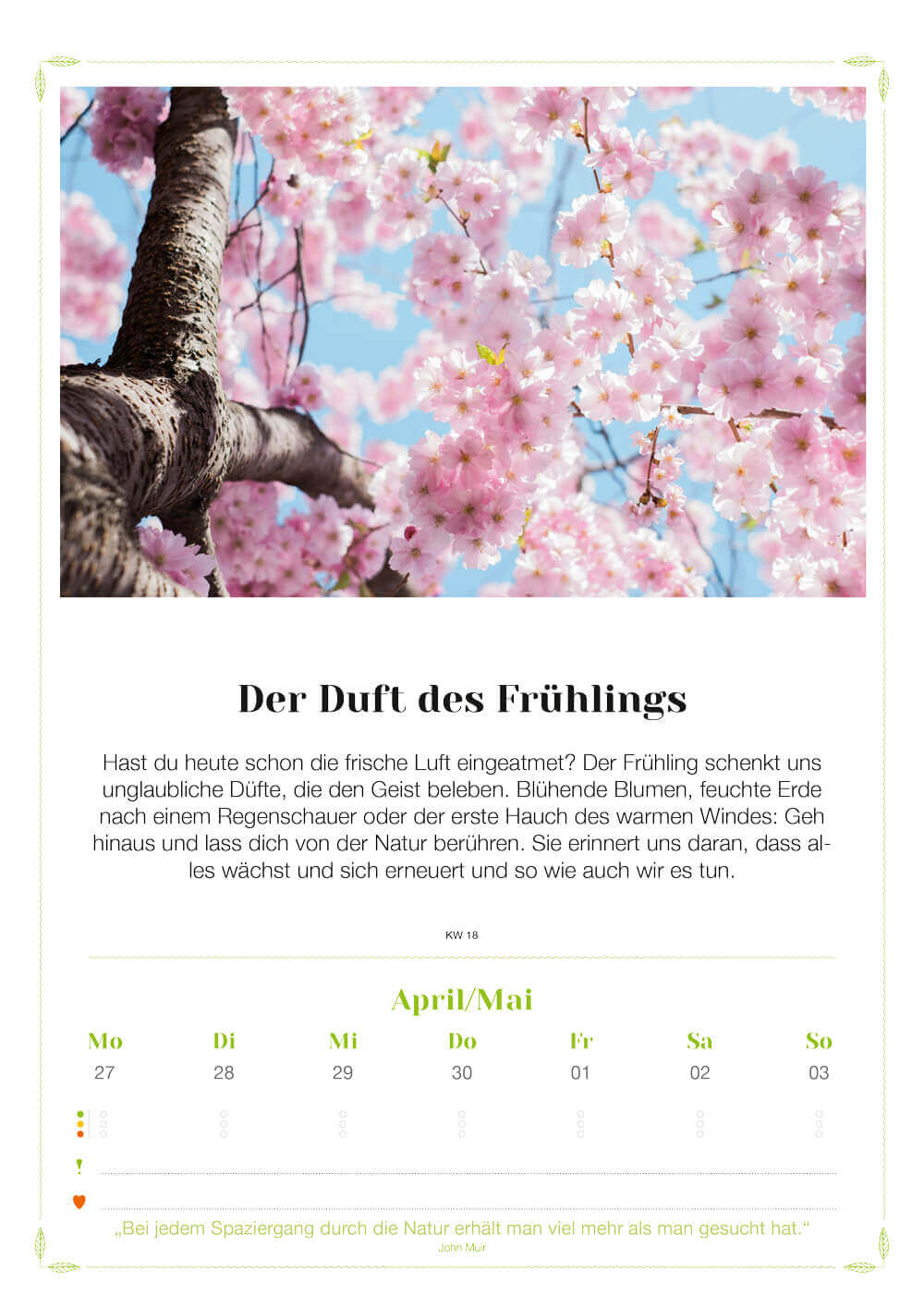 Exklusiv für Stefans Newsletterabonnenten: Lebenslust Kalender 2026 – Wandkalender + Lotos-Kunstdruck + Postkarten – Bild 6