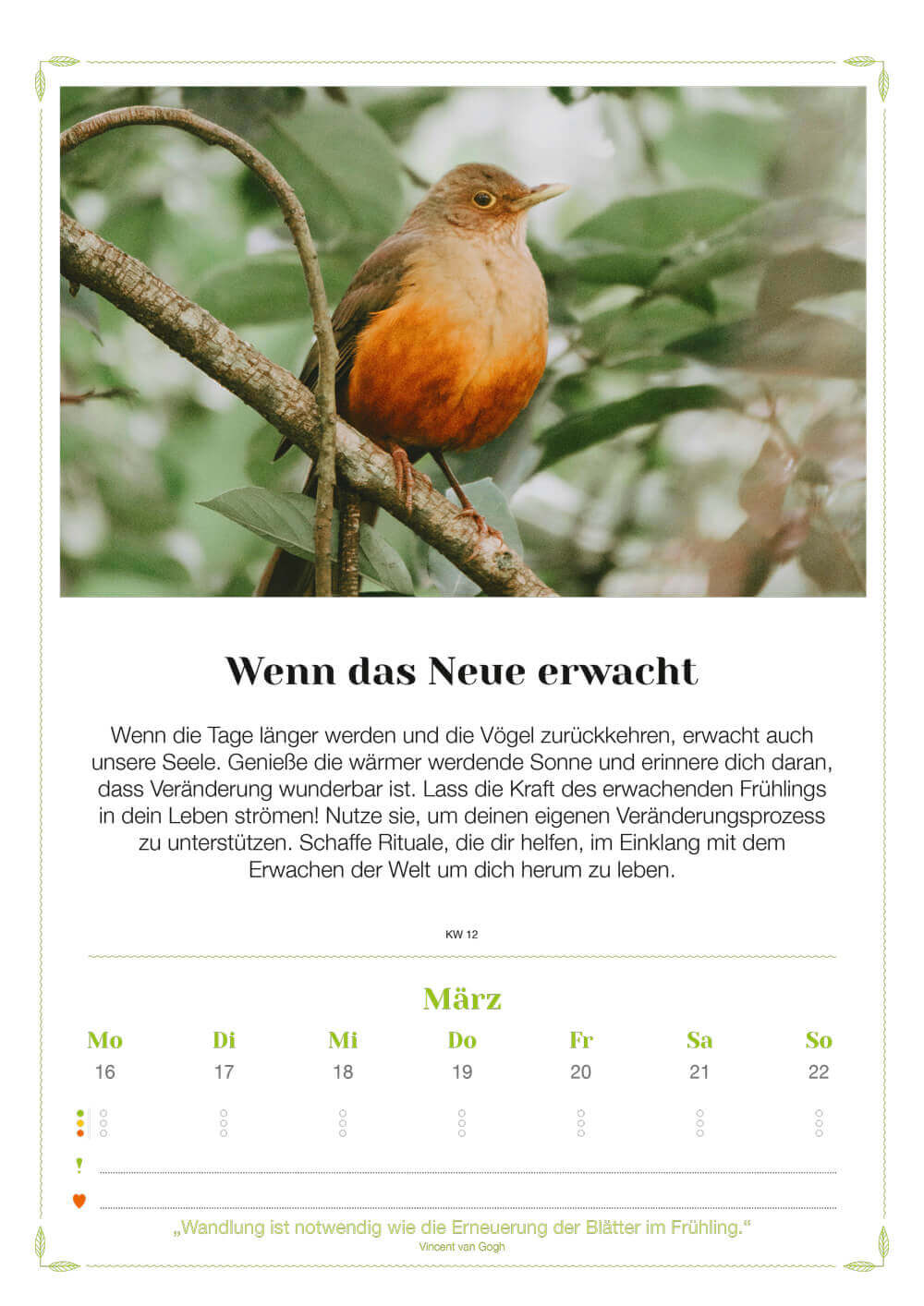 Exklusiv für Stefans Newsletterabonnenten: Lebenslust Kalender 2026 – Wandkalender + Lotos-Kunstdruck + Postkarten – Bild 10