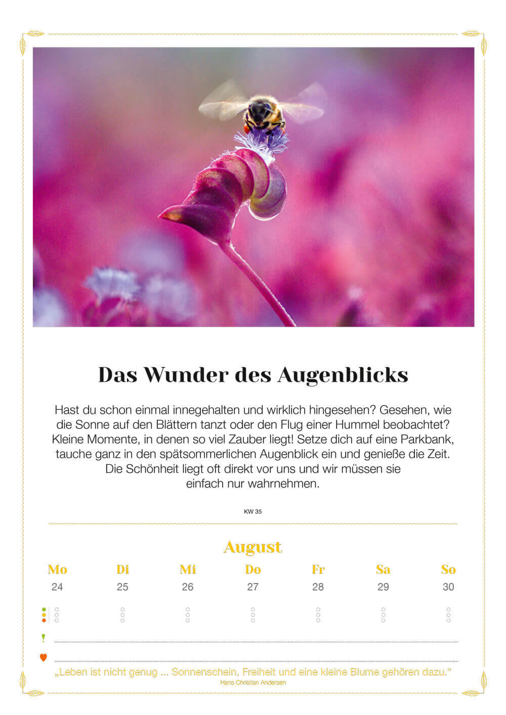 Exklusiv für Stefans Newsletterabonnenten: Lebenslust Kalender 2026 – Wandkalender + Lotos-Kunstdruck + Postkarten – Bild 11