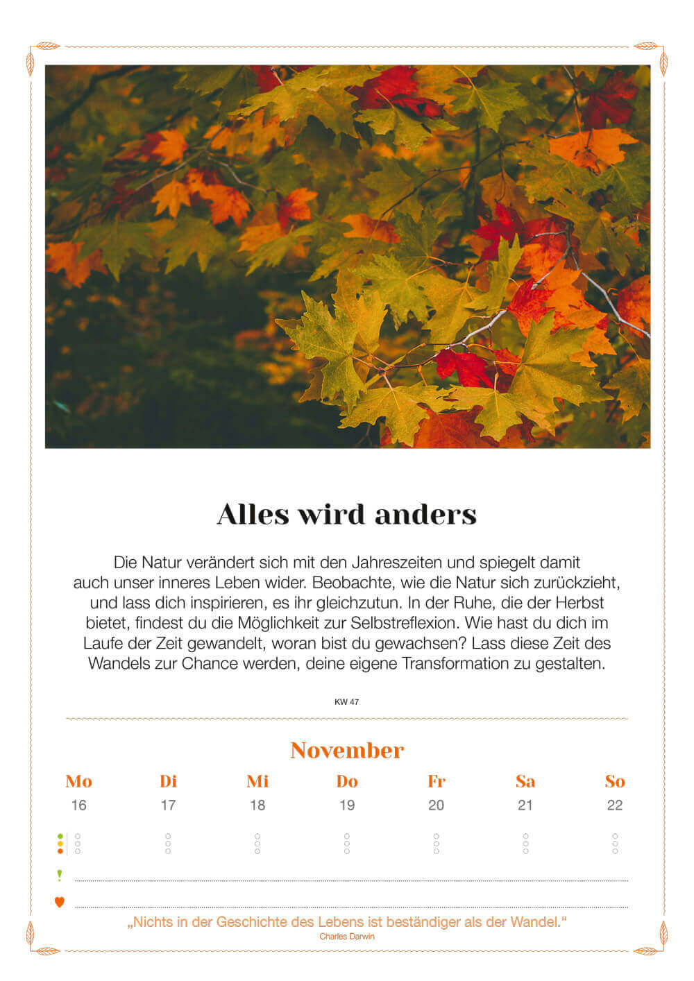 Exklusiv für Stefans Newsletterabonnenten: Lebenslust Kalender 2026 – Wandkalender + Lotos-Kunstdruck + Postkarten – Bild 12