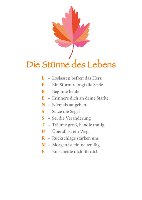 Buch Lass den Wind deine Hoffnung tragen – Bild 2