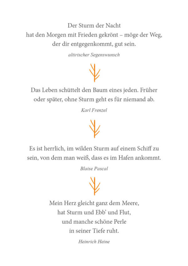 Buch Lass den Wind deine Hoffnung tragen – Bild 3