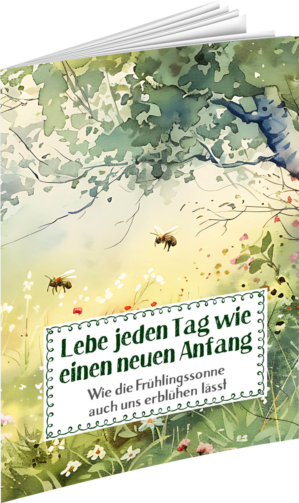 Buch Lebe jeden Tag wie einen neuen Anfang